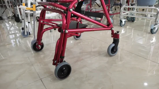 Déambulateur pour personnes âgées personnalisé frère médical Chine béquilles handicapées béquille marcheur électrique adulte